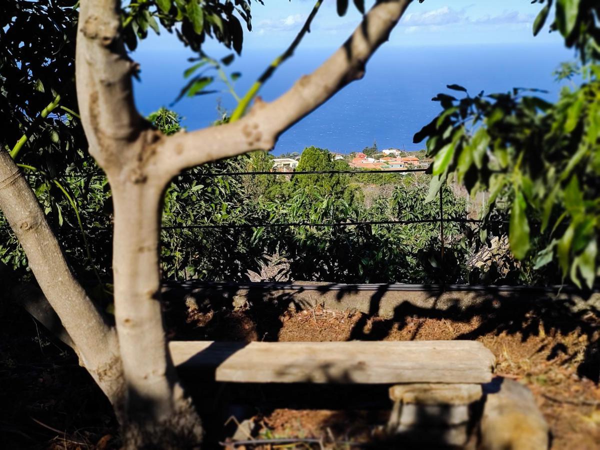 La Casa De La Cartita Villa Puntagorda Buitenkant foto