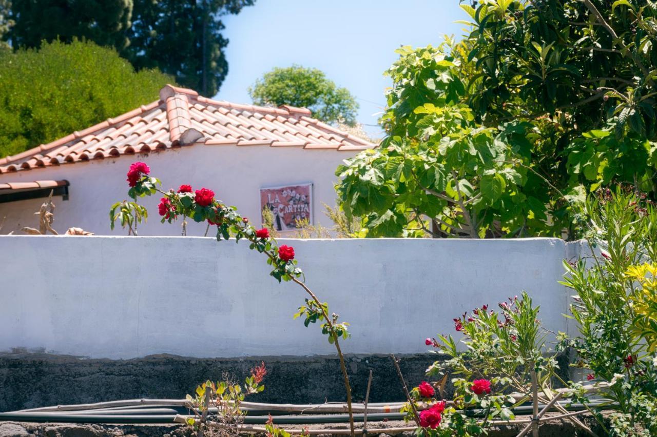 La Casa De La Cartita Villa Puntagorda Buitenkant foto