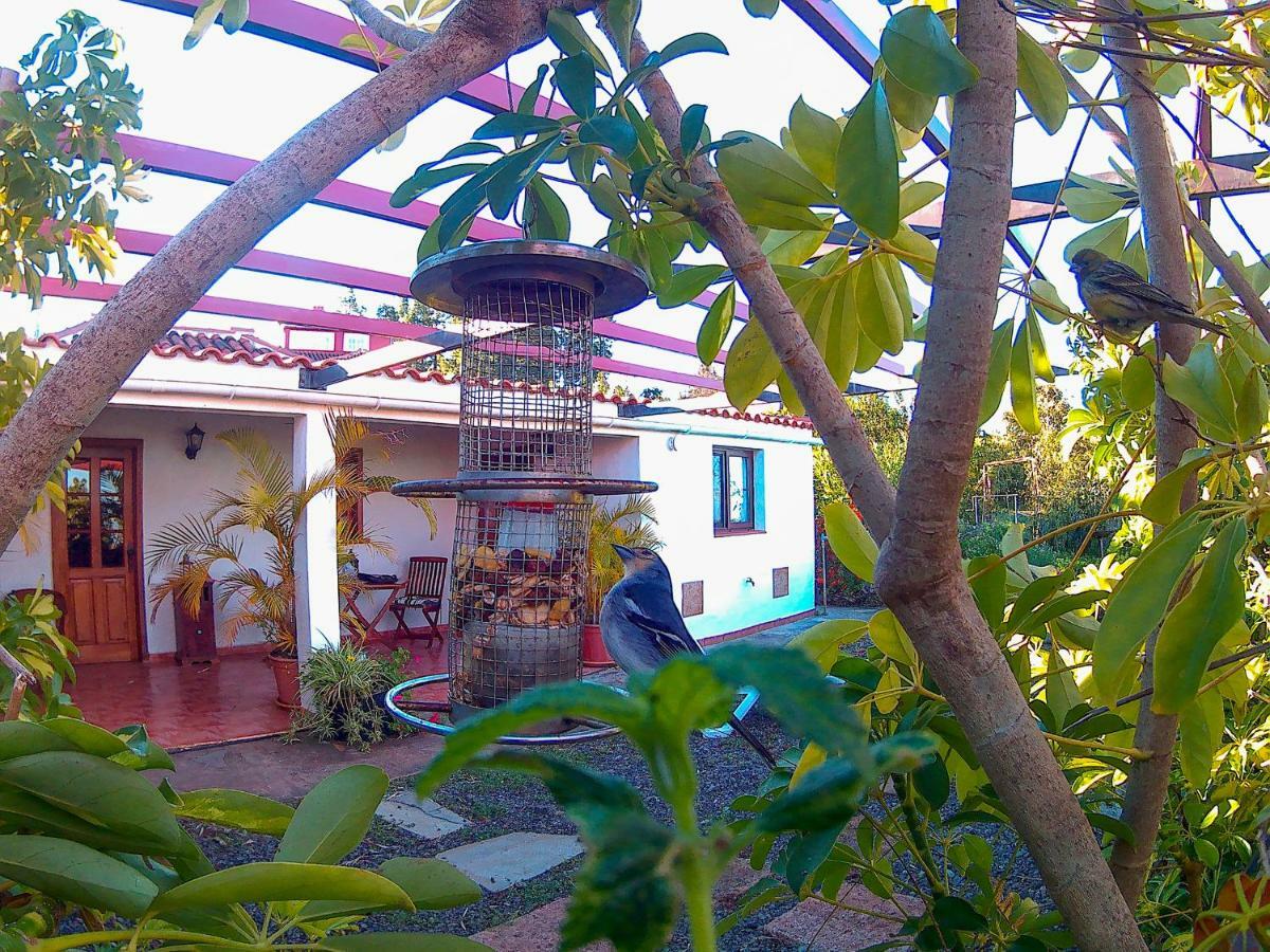 La Casa De La Cartita Villa Puntagorda Buitenkant foto